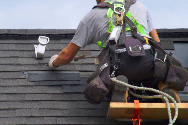 Best Solar Panel Roofing Installation  in Zephyrhills South, FL